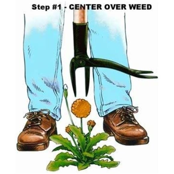 Stand Up Weed Puller Tool with Long Handle - Made with Real Bamboo - Picture 4 of 6